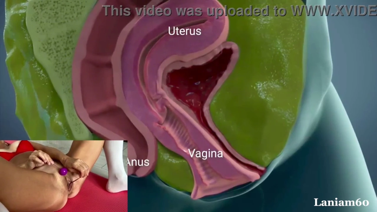 Watch sexual anatomy porn, sexual anatomy of vulva, sexual anatomy pics, female anatomy sexual porn movies and download sexual anatomy porn, sexual anatomy, anatomy sexual streaming porn to your phone